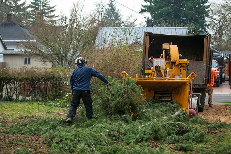 PDX Tree Service cleaning up after tree trimming