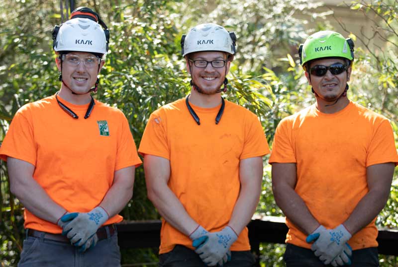 AboutUsPicture The PDX Tree Service Team