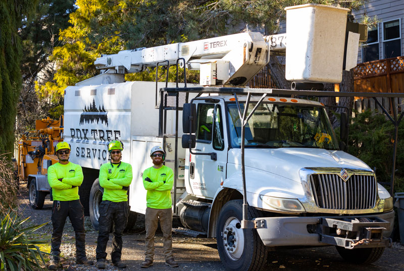 PDX Tree Service Workers