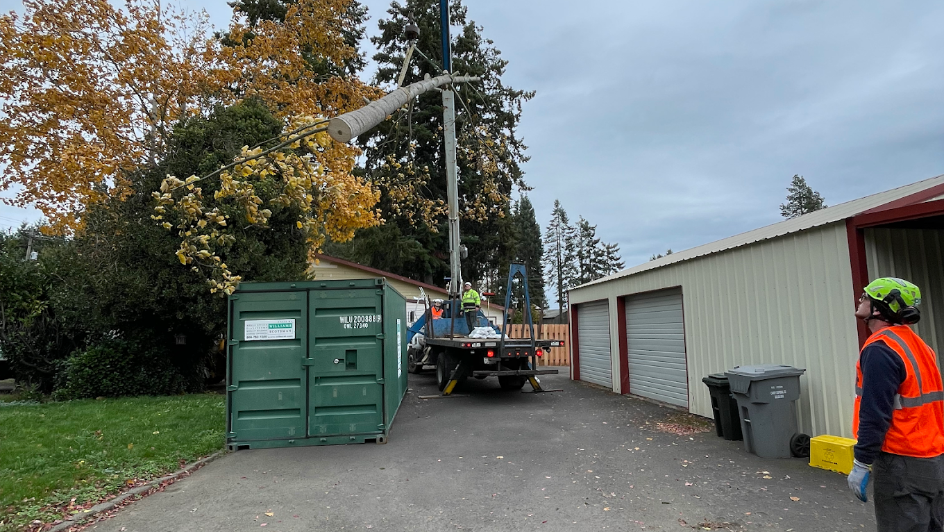 Commercial Tree Services