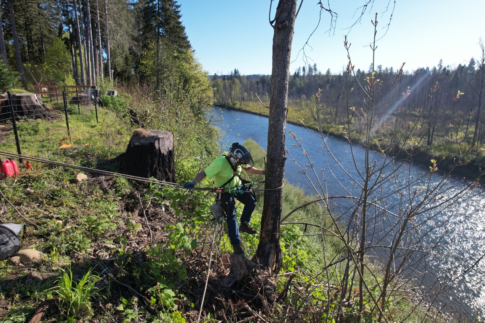 Certified arborist pruning a mature tree on a residential property in Oregon City Oregon