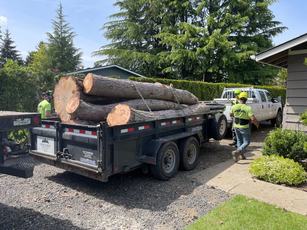 Certified arborist inspecting a mature tree on a residential property in West Linn Oregon