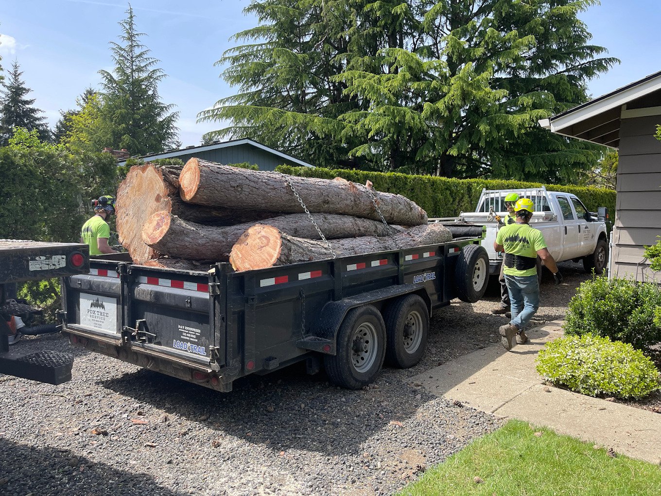 Certified arborist inspecting a mature tree on a residential property in West Linn Oregon